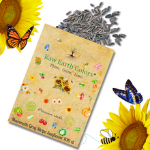 Load image into Gallery viewer, Sunflower Seeds For Planting - To Plant Mammoth Grey Stripe Sunflowers