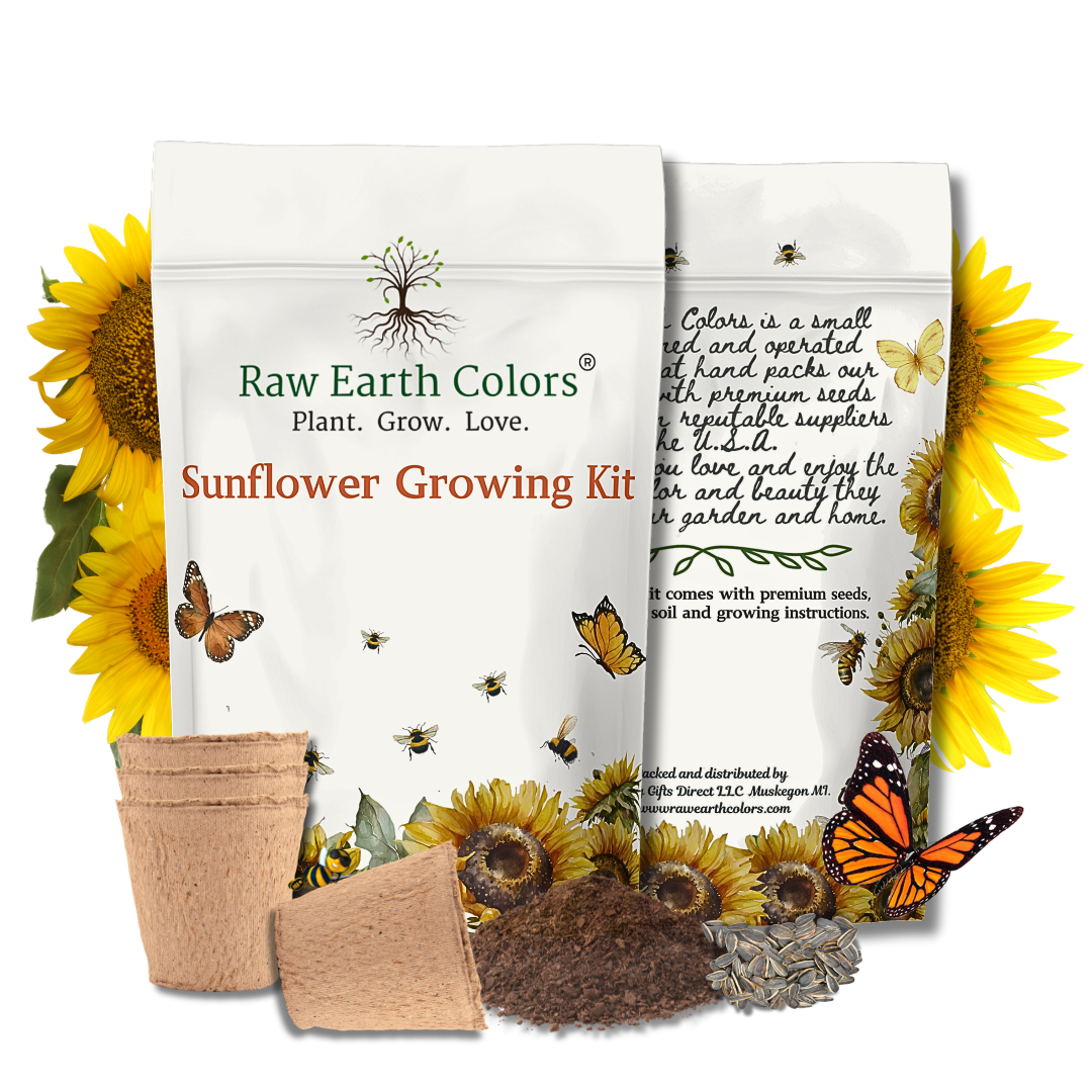 Sunflower grow kit with sunspot dwarf Sunflower Seeds for planting