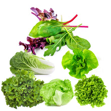 Load image into Gallery viewer, Lettuce variety six pack- Romaine parris island cos - Iceberg head - Buttercrunch - Mesclun mix - Leaf salad bowl - Black seeded simpson.