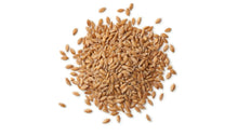 Load image into Gallery viewer, Cat Grass For Indoor Cats - Kit With Wheatgrass Seeds.