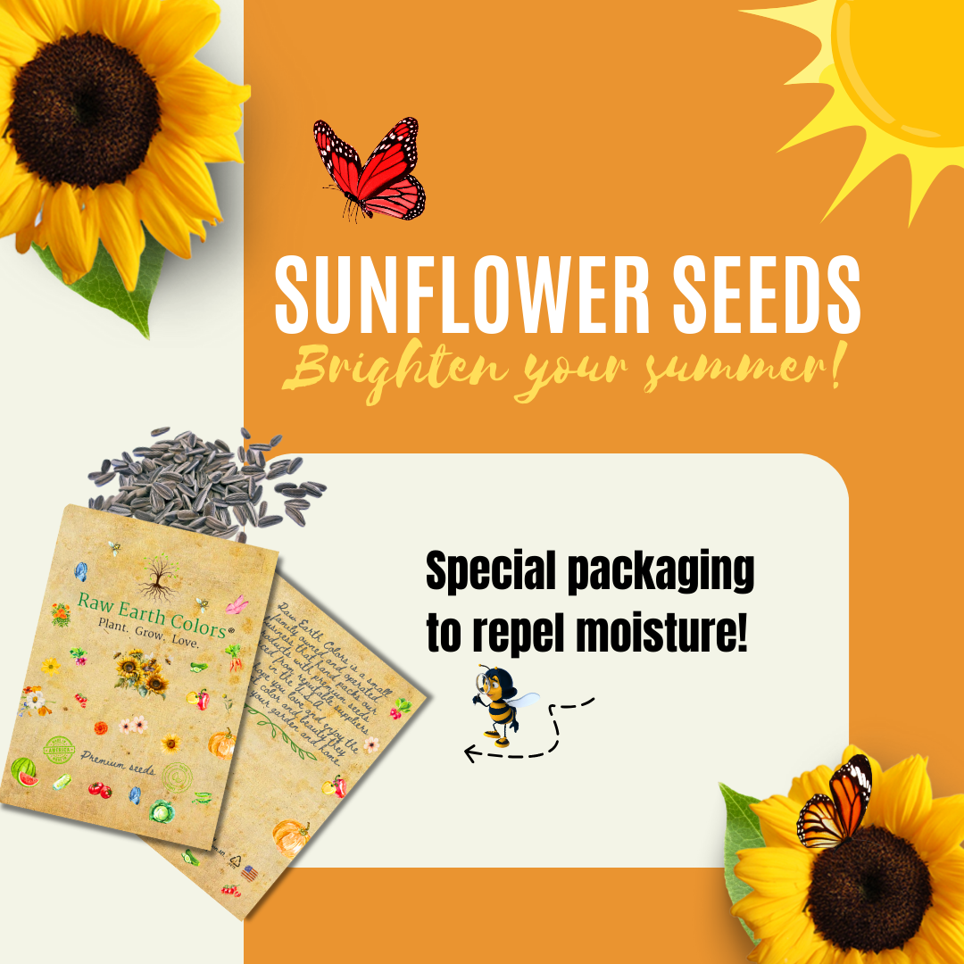 dwarf sunflower seeds to plant Sunflower grow kit with sunspot dwarf Sunflower Seeds for planting