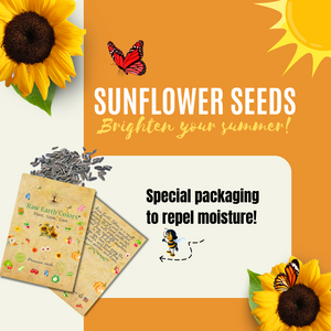 Mammoth Sunflower Seeds For Planting - To Plant About 500 Sunflowers! - Big Packet of Helianthus Annus Flower Seeds!