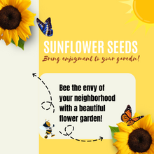 Load image into Gallery viewer, Sunflower Seeds For Planting - To Plant Mammoth Grey Stripe Sunflowers