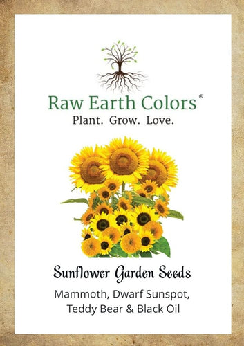 Sunflower Seeds for Planting Four Pack - To Plant a Dwarf and Giant Mammoth Sunflower Garden!