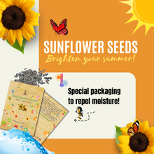 Load image into Gallery viewer, Sunflower Seeds For Planting - To Plant Mammoth Grey Stripe Sunflowers