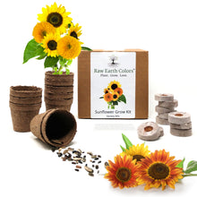 Load image into Gallery viewer, Sunflower Seeds for Planting Grow Kit - Includes Mammoth, Dwarf Teddy Bear and More