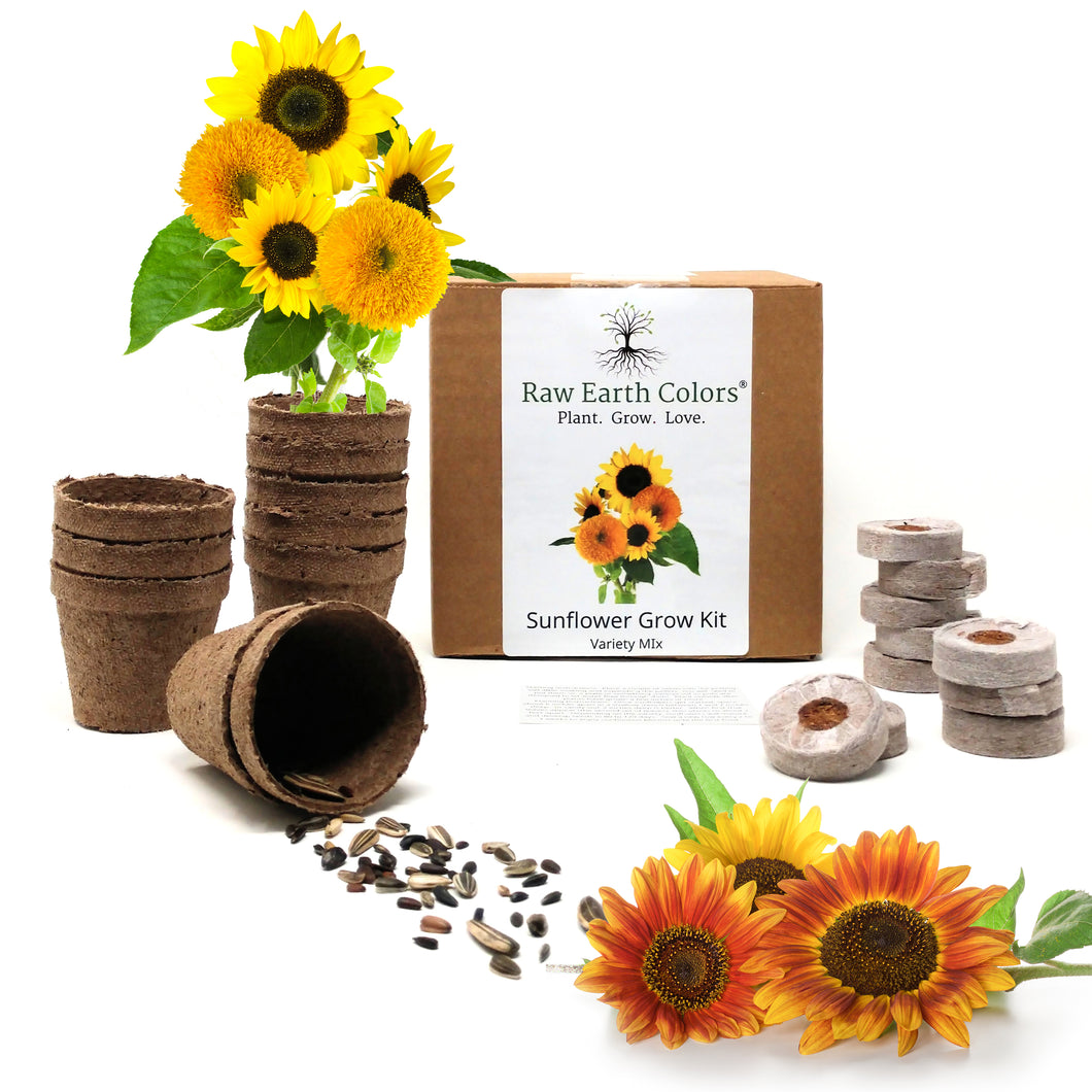 Sunflower Seeds for Planting Grow Kit - Includes Mammoth, Dwarf Teddy Bear and More