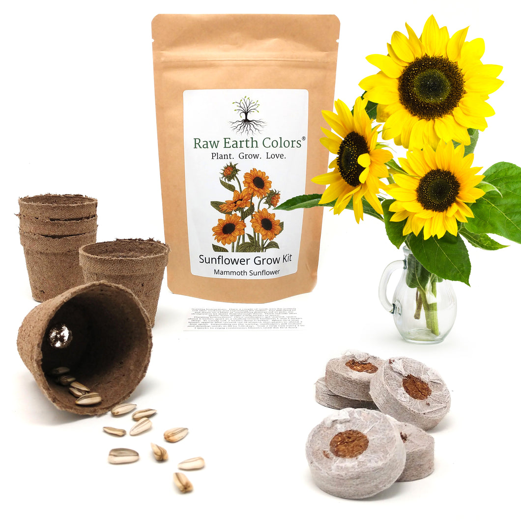 Mammoth sunflower seeds for planting grow kit