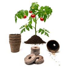 Load image into Gallery viewer, Cherry Tomato Growing Kit
