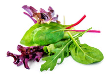 Load image into Gallery viewer, Lettuce seeds mix - Mesclun