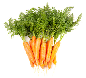 Carrot Seeds - Little Finger