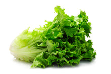 Load image into Gallery viewer, Lettuce Seeds - Romaine Parris Island Cos