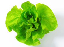 Load image into Gallery viewer, Lettuce Seeds - Buttercrunch