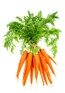 Carrot Seeds Variety Pack - Tendersweet, Danvers 126, Scarlet Nantes.