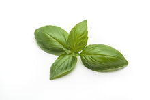 Load image into Gallery viewer, Basil Seeds - Italian