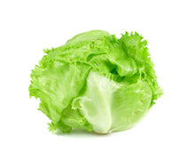 Load image into Gallery viewer, Lettuce - Iceberg